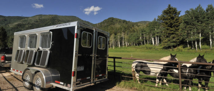 Enclosed Featherlite horse trailer in front of field of horses