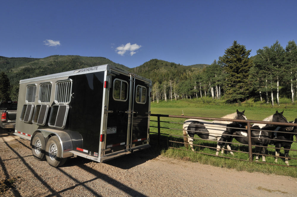 Enclosed Featherlite horse trailer in front of field of horses