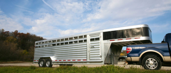 Featherlite livestock trailer hauled by pickup truck