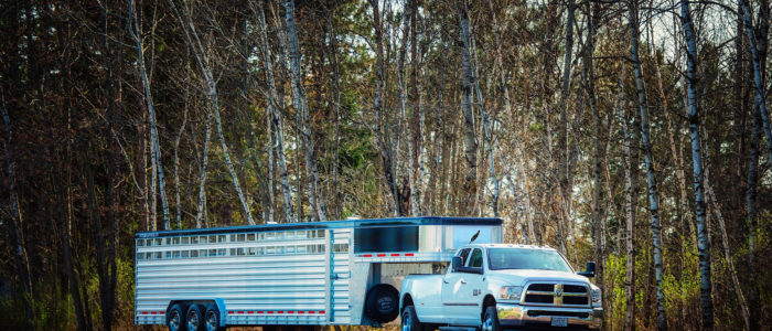 Featherlite livestock trailer hauled by pickup truck through woods