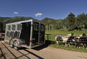 Enclosed horse trailer near field of horses